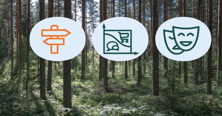 Guide to digital transformation in the forest