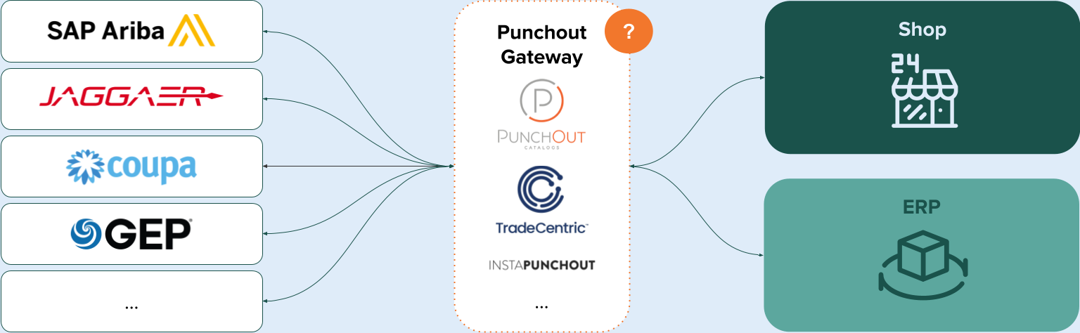 Fragestellung Punchout Gateway